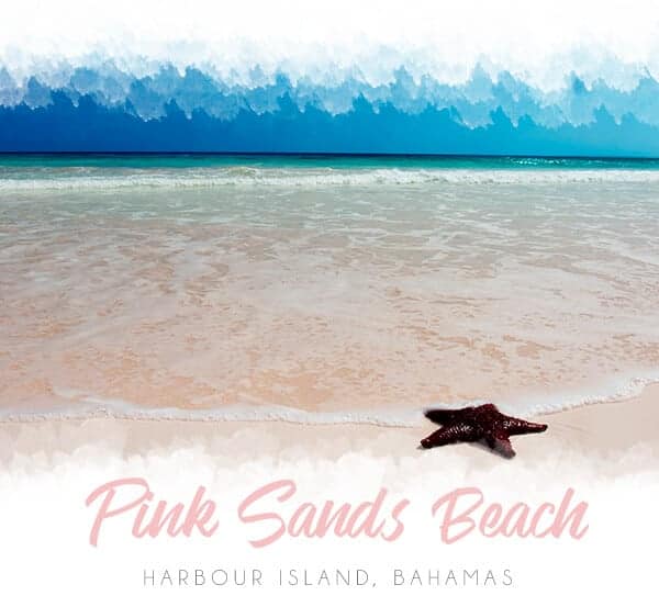 Pink Sands Beach by Magnified Vacations CruiseOne