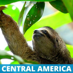 Destinations - Central America